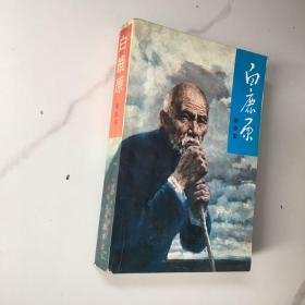 白鹿原     纯正版  全品未阅 1993年一版一印14850册