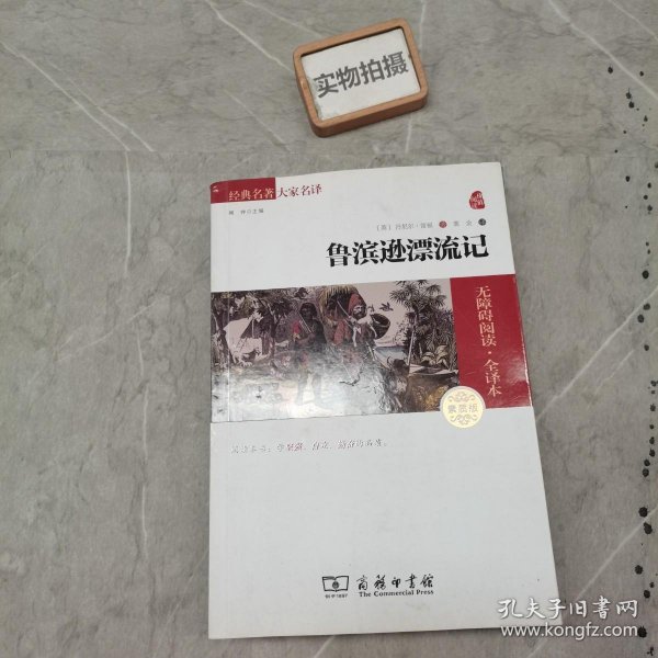 经典名著 大家名译：鲁滨逊漂流记（无障碍阅读 全译本 素质版）