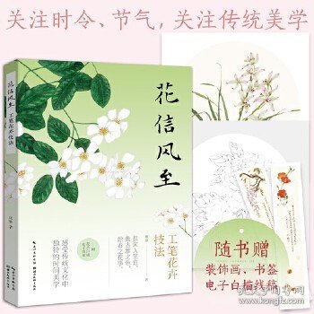 花信风至——工笔花卉技法