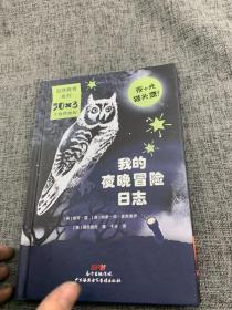 我的夜晚冒险日志