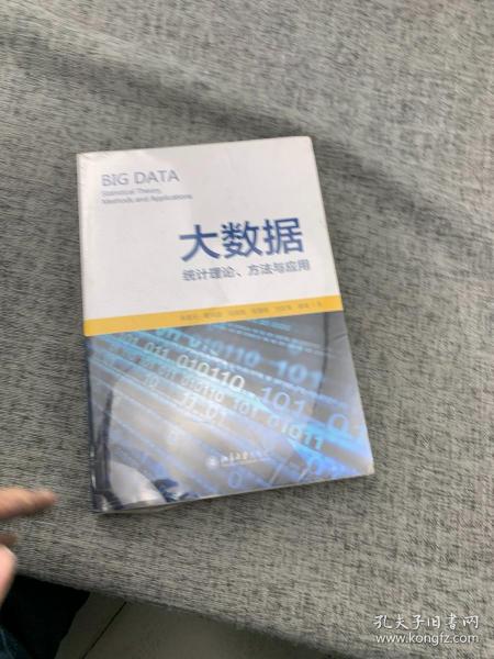 大数据统计理论、方法与应用