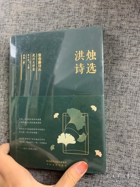 常春藤诗丛：洪烛诗选