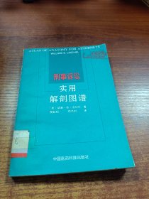 刑事诉讼实用解剖图谱