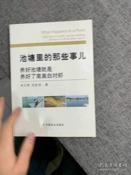 池塘里的那些事儿：养好池塘就是养好了南美白对虾