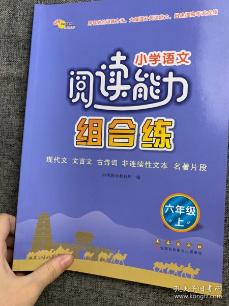 小学语文阅读能力组合练上册六年级