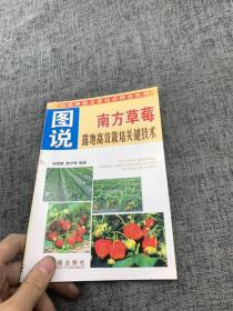 图说南方草莓露地高效栽培关键技术