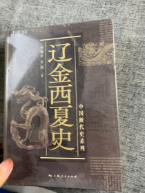 辽金西夏史(中国断代史系列)