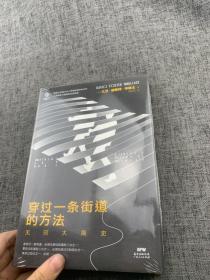 万有引力书系：穿过一条街道的方法：无穷大简史