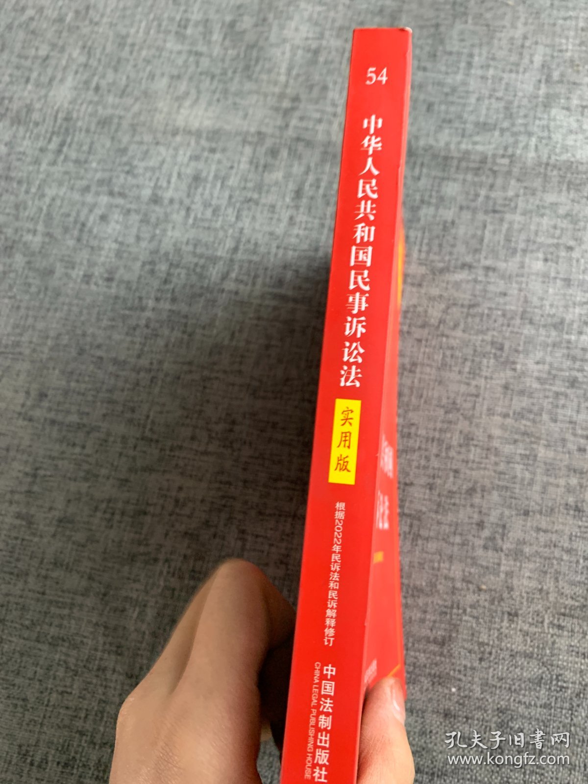 中华人民共和国民事诉讼法（实用版）（根据2022年民诉法和民诉解释修订)