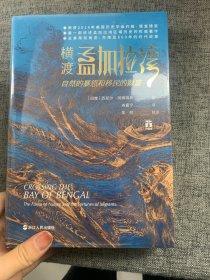 好望角丛书·横渡孟加拉湾：自然的暴怒和移民的财富