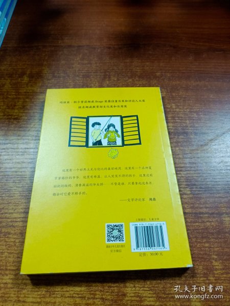 暖暖华夫心/全球儿童文学典藏书系·国际获奖作品系列