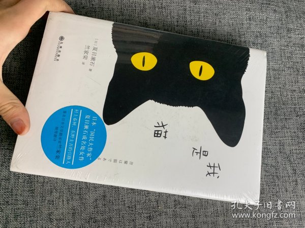 夏目漱石：我是猫