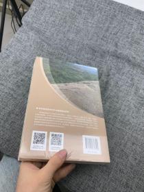 将军崖岩画年代学与图像意涵研究