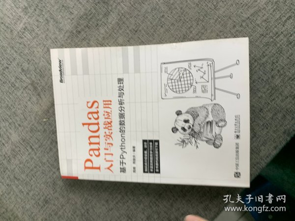 Pandas入门与实战应用 ：基于Python的数据分析与处理