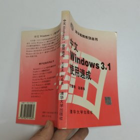 中文Windows 3.1使用速成