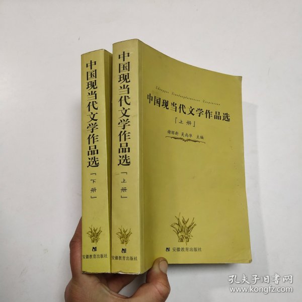 中国现当代文学作品选（下册）