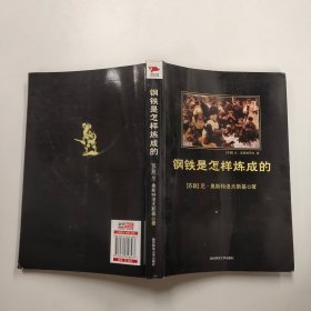 钢铁是怎样炼成的