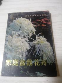 家庭盆栽花卉