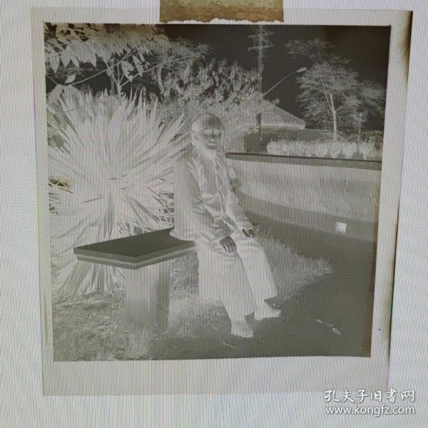 【老底片】28《老者》6*6公分底片