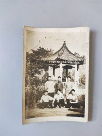 1958年中央兽医干校于济南大明湖公园合影留念照片