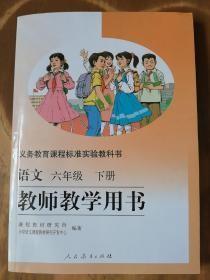 义务教育课程标准实验教科书——语文（六年级，下册）教师教学用书（1版11或12印）（有2枚光盘）