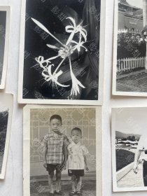 （补图）同一批老照片36张合售，里面有陈诚、陈诚夫人吴舜莲、田炯锦等名人。陈诚是浙江青田人。田炯锦是甘肃庆阳人。有旗袍美女，摄影师印章杲大鏐，儿童，女孩，美女，男子，相机，风景，文殊兰花卉，校服，合影，孙文（孙中山）的天下为公匾额。（陈诚，保定军校毕业，黄埔军校特别官佐，军长。田炯锦毕业于北京大学）