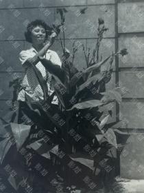 老照片，约50年代， 上海美女