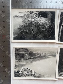 （补图）同一批老照片36张合售，里面有陈诚、陈诚夫人吴舜莲、田炯锦等名人。陈诚是浙江青田人。田炯锦是甘肃庆阳人。有旗袍美女，摄影师印章杲大鏐，儿童，女孩，美女，男子，相机，风景，文殊兰花卉，校服，合影，孙文（孙中山）的天下为公匾额。（陈诚，保定军校毕业，黄埔军校特别官佐，军长。田炯锦毕业于北京大学）