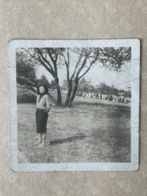 老照片，民国美女，1949。在上海某公园