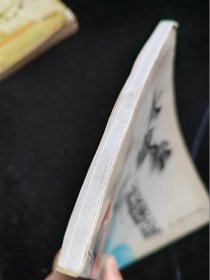 大成拳實戰(zhàn)速成（中國名拳系列） /王忠海