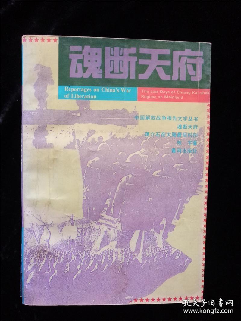 魂断天府:蒋介石在大陆最后时刻 NN /陈宇