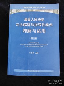 最高人民法院司法解释与指导性案例理解与适用（第二卷 2013年精选版）（最新法律文件解读丛书） /江必新