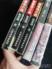 张宝瑞小说6本不重复的合售（一只绣花鞋+一只绣花鞋2+阴阳铜尺+13号凶宅+一幅梅花图+绿色尸体） /张宝瑞