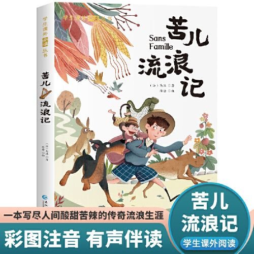 苦儿流浪记 彩图注音版 写尽人间酸甜苦辣的传奇流浪生涯外国经典儿童文学书籍 小学生课外阅读丛书