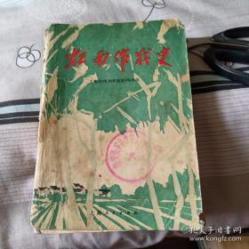 虹南作战史