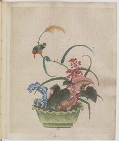 【提供资料信息服务】盆景花鸟图册.Fleurs.oiseaux et insectes.两卷.外销画.约十八世纪 锦布封面包角 最大程度上还原原书本店此处销售的为该版本的原大彩印、仿真微喷（1200分辨率、原装墨水），宣纸线装本，定价不包含函套。如需函套可与客服沟通联系