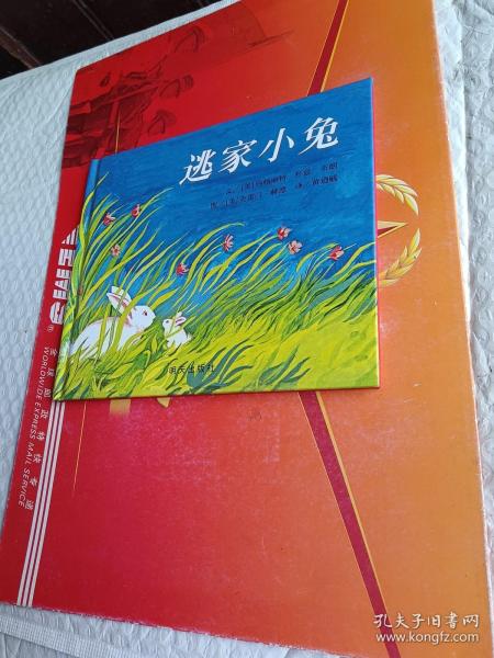 信谊绘本世界精选图画书：逃家小兔