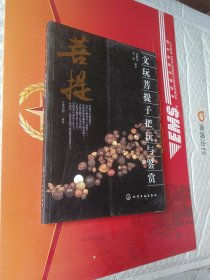 文玩菩提子把玩与鉴赏