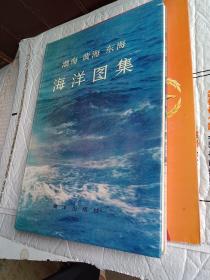 渤海黄海东海海洋图集 化学
