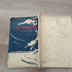 雪地追踪