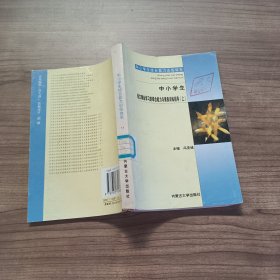 中小学生综合能力训练体系17 中小学生语文课业学习的综合能力与素质训练指导 上.