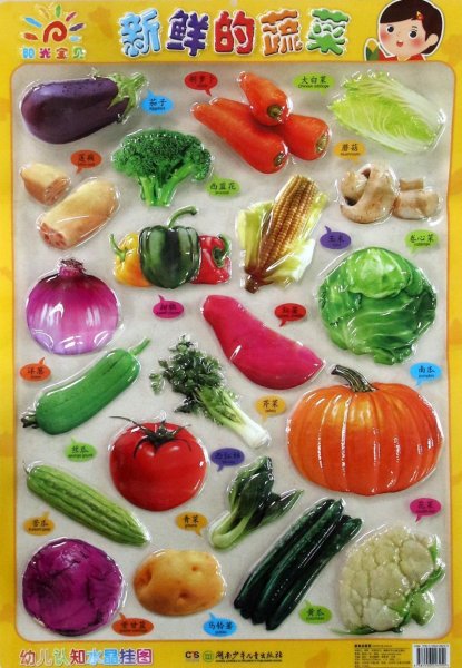 幼儿认知水晶挂图·新鲜的蔬菜
