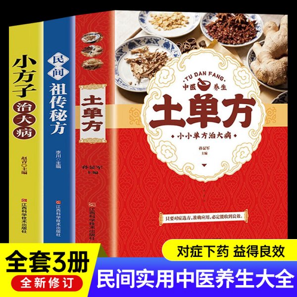 民间祖传秘方 中医书籍养生偏方大全民间老偏方美容养颜常见病防治 保健食疗偏方秘方大全小偏方老偏方中医健康养生保健疗法