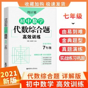 周计划：初中数学代数综合题高效训练（7年级）