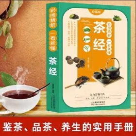 彩图精解一看就懂茶经 中华茶道茶文化知识书籍 茶道入门 茶艺书 茶艺师培训教材 中国茶经 茶之书 茶味的初相 中华国学经典精粹 中医养生经典 青少年课外阅读