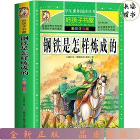 钢铁是怎样炼成的/新课标学生课外必读丛书