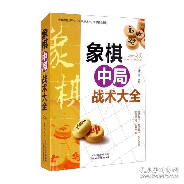 象棋中局战术大全