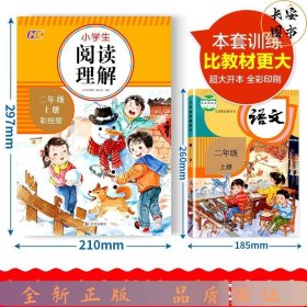 阅读理解 二年级上册 小学生阅读理解训练题语文专项训练书 2年级课外阅读练习题强化训练提升技巧与方法阶梯练习册每日一练