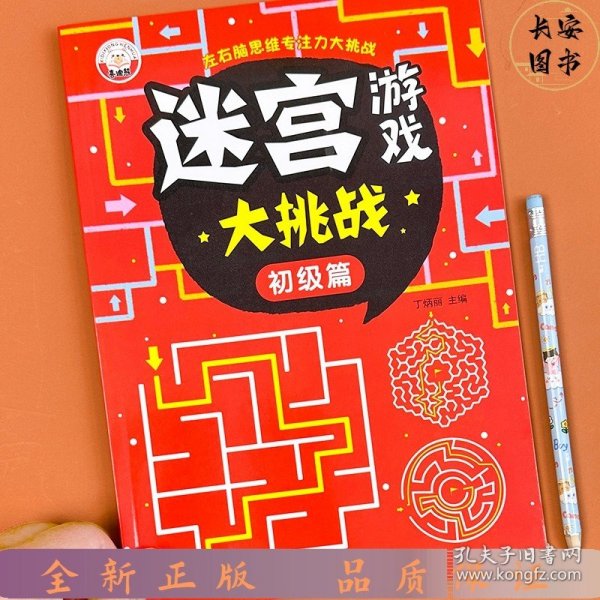 迷宫游戏大挑战（全4册）