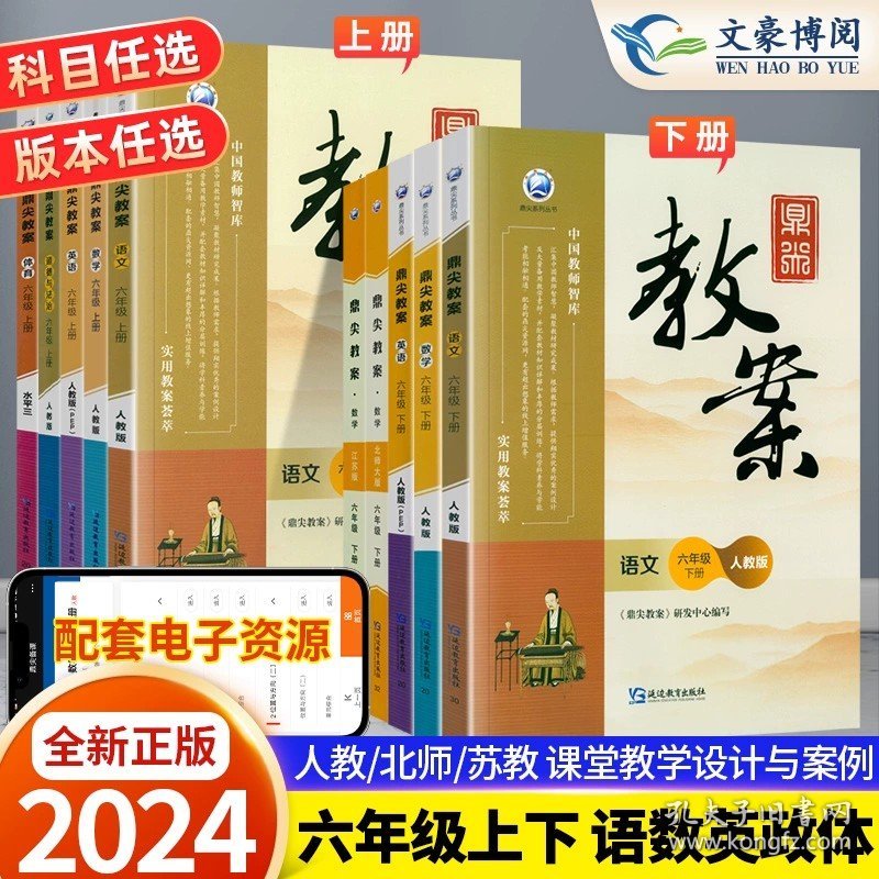 （单册）25春鼎尖教案人教6下数（双色）